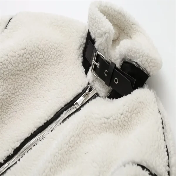 Contrast Color Plush Jacket – Cozy Lamb Wool One-Piece for Autumn - Image 5