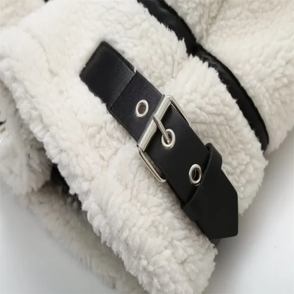 Contrast Color Plush Jacket – Cozy Lamb Wool One-Piece for Autumn - Image 6